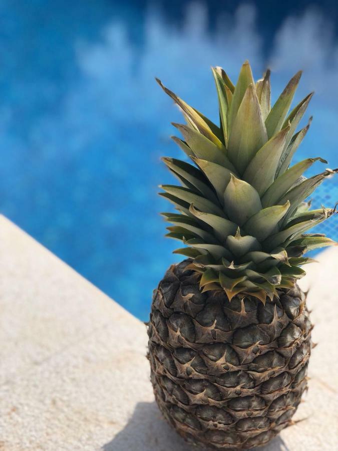 Paradise Brbinj Zewnętrze zdjęcie